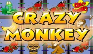 Логотип Crazy Monkey